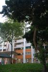 930 Tampines Street 91 #0