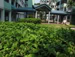 31 Tanglin Halt Road #0