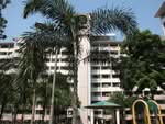 36 Tanglin Halt Road #0