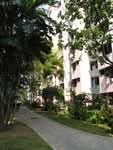 41 Tanglin Halt Road #0