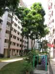 43 Tanglin Halt Road #0