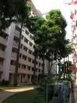 43 Tanglin Halt Road #0
