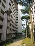 44 Tanglin Halt Road #0