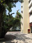 88 Tanglin Halt Road #0