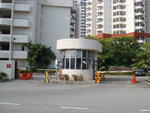 Leader Garden #0