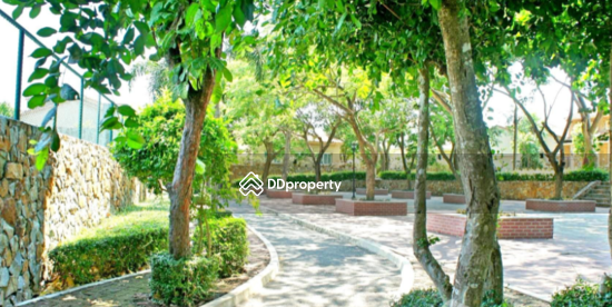 ขาย - Silk Road Place : ซิลค์ โรด เพลส, ชลบุรี