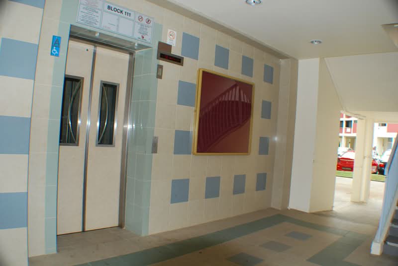 111 Teck Whye Lane