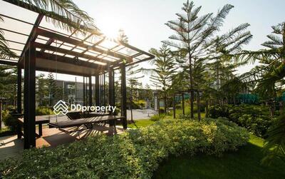 - Citysense Rama 2 - Thakham