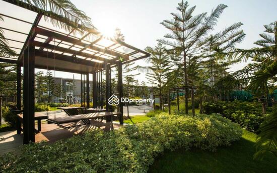 ขาย - Citysense Rama 2 - Thakham : ซิตี้เซนส์ พระราม 2 - ท่าข้าม, กรุงเทพ