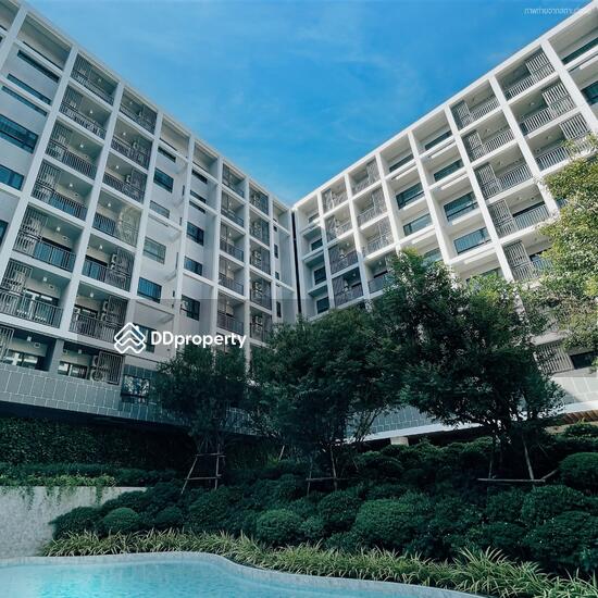 ให้เช่า - dusitD2 Residences Hua Hin : ดุสิตดีทู เรสซิเดนเซส หัวหิน, ประจวบคีรีขันธ์