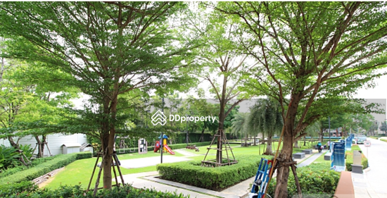 ให้เช่า - Baan Klang Muang Kalpapruek : บ้านกลางเมือง กัลปพฤกษ์, กรุงเทพ