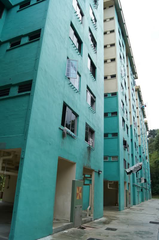 30 Telok Blangah Rise