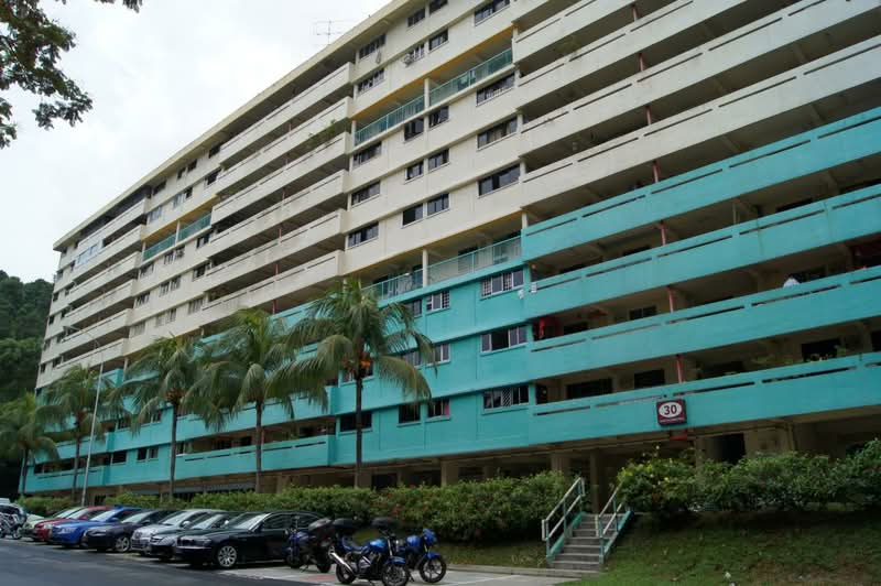 30 Telok Blangah Rise
