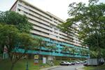 31 Telok Blangah Rise #0