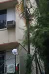 D Toa Payoh Rise #0
