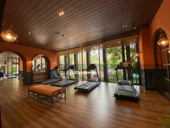 ขาย - La Habana Hua Hin : ลา ฮาบานา หัวหิน, ประจวบคีรีขันธ์