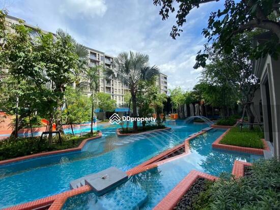 ขาย - La Habana Hua Hin : ลา ฮาบานา หัวหิน, ประจวบคีรีขันธ์