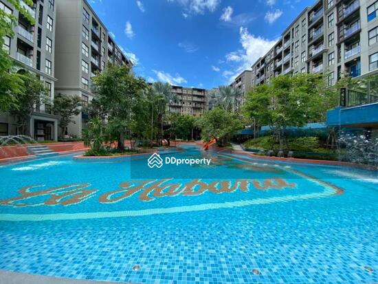 ขาย - La Habana Hua Hin : ลา ฮาบานา หัวหิน, ประจวบคีรีขันธ์