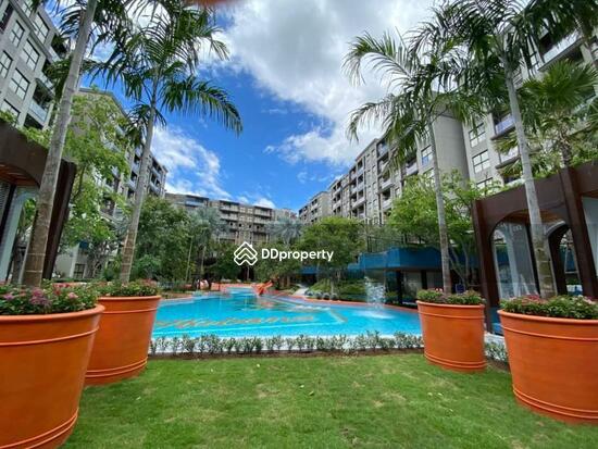 ขาย - La Habana Hua Hin : ลา ฮาบานา หัวหิน, ประจวบคีรีขันธ์
