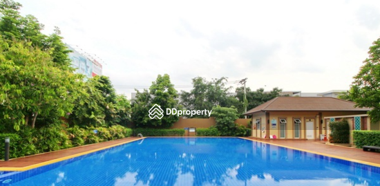 ให้เช่า - Laddarom Chaiyaphruk-Chaengwattana : ลัดดารมย์ ชัยพฤกษ์-แจ้งวัฒนะ, นนทบุรี
