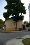 89 Whampoa Drive #0