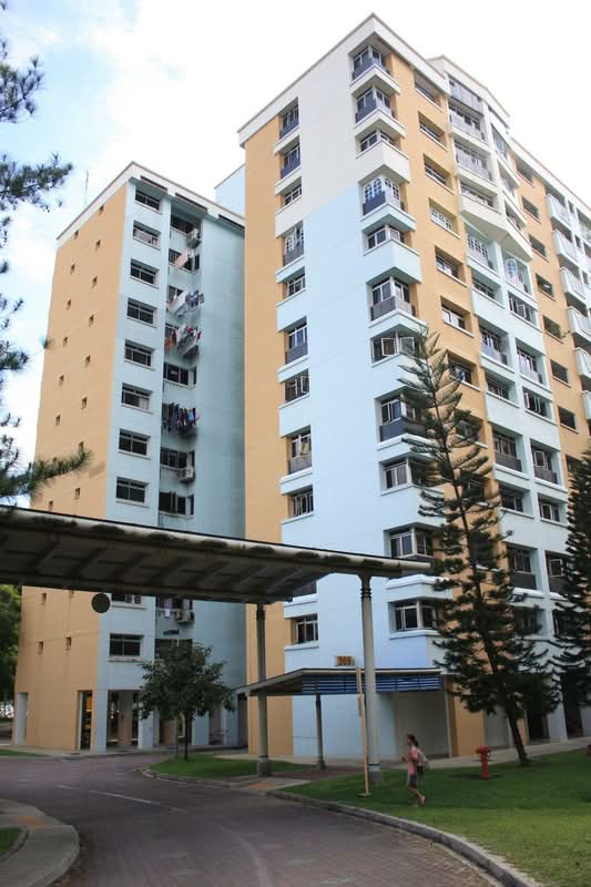 369 Woodlands Avenue 1