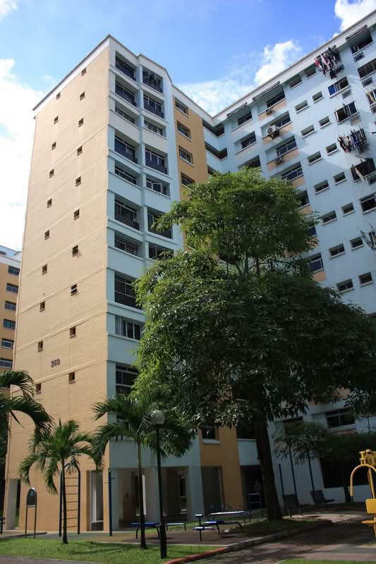 369 Woodlands Avenue 1