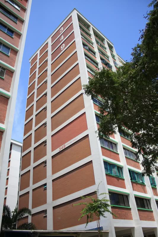 349 Woodlands Avenue 3