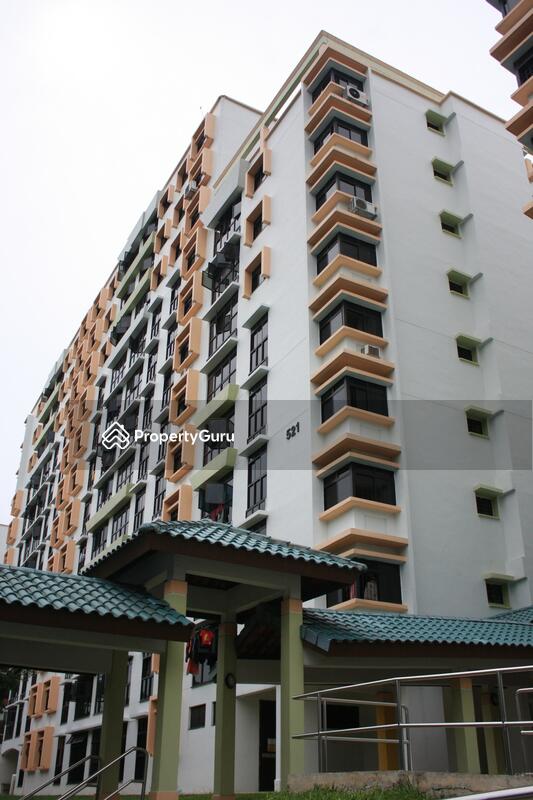 521 Woodlands Drive 14 #0