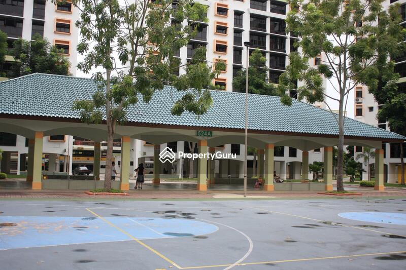 524 Woodlands Drive 14 #0