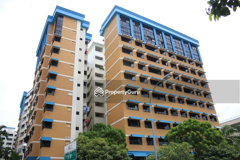 536 Woodlands Drive 14 #0