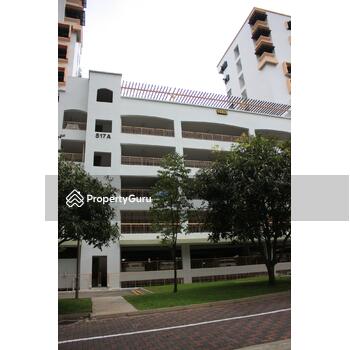 517A Woodlands Drive 14