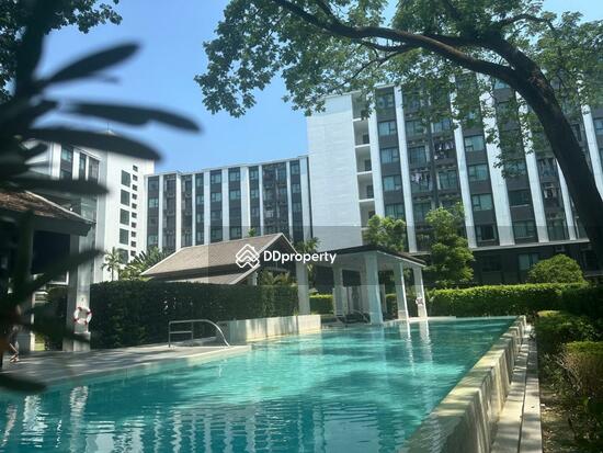 ขาย - Escent Park Ville: เอสเซ็นท์ พาร์ควิลล์, เชียงใหม่