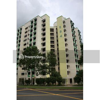 584 Woodlands Drive 16