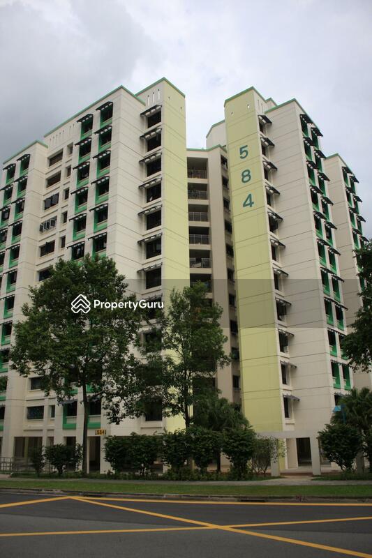 584 Woodlands Drive 16 #0