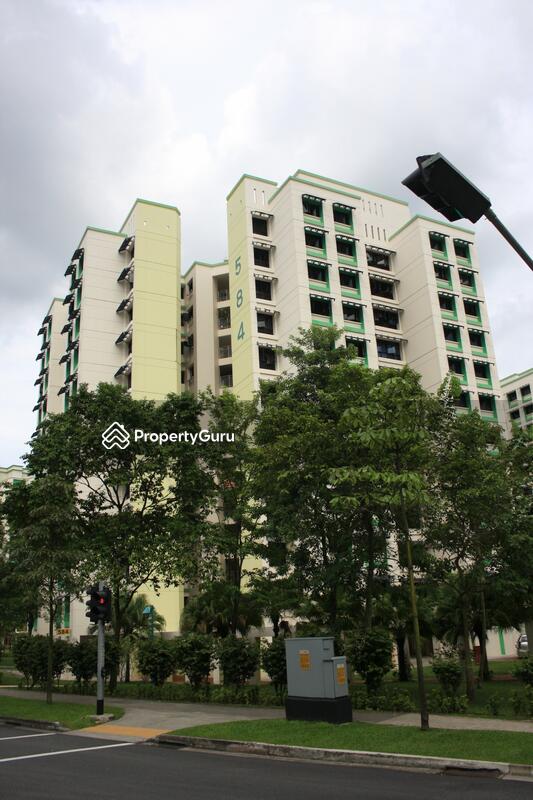 584 Woodlands Drive 16 #0