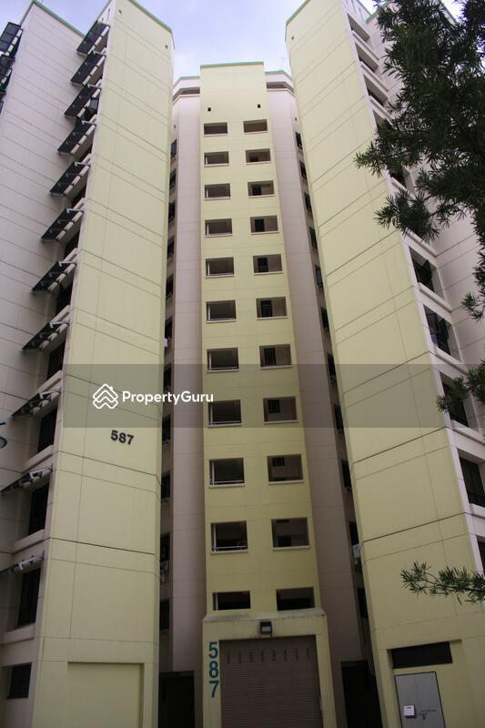 587 Woodlands Drive 16 #0