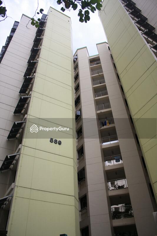 589 Woodlands Drive 16 #0