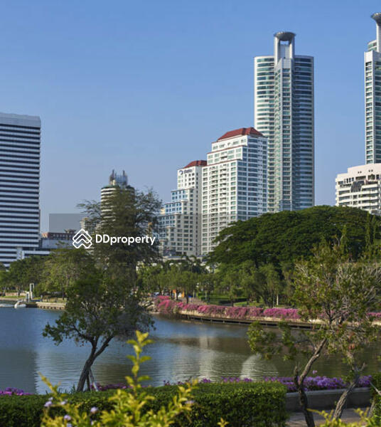 For Rent - Shama Lakeview Asoke, Bangkok