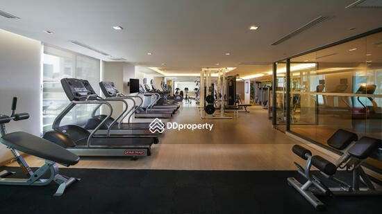 ให้เช่า - Shama Lakeview Asoke : ชามา เลควิว อโศก, กรุงเทพ