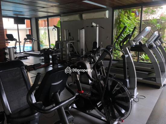 ให้เช่า - The Pearl 49 : เดอะ เพิลล์ สุขุมวิท 49, กรุงเทพ