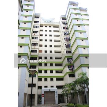 607 Woodlands Ring Road