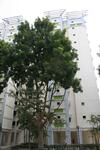 632 Woodlands Ring Road #0