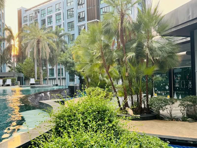 The Private Paradise Pattaya : เดอะ ไพรเวท พาราไดซ์ พัทยา
