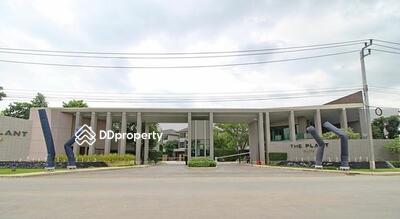  - The Plant Elite Phatthanakan