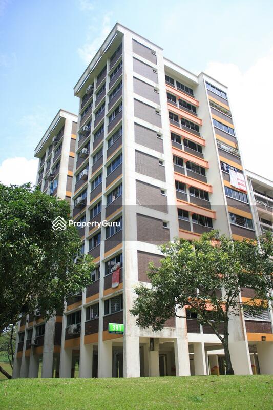 391 Yishun Avenue 6 #0