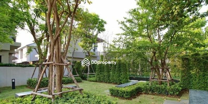 ขาย - Life Bangkok Boulevard Ratchaphruek-Pinklao : ไลฟ์ บางกอก บูเลอวาร์ด ราชพฤกษ์-ปิ่นเกล้า, นนทบุรี
