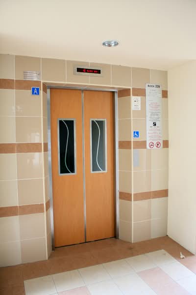 239 Yishun Ring Road, 239 Yishun Ring Road, 2 Bedrooms, 721 sqft, HDB Flat For Rent, by Eunice Lam, 21916415 - PropertyGuru.com.sg