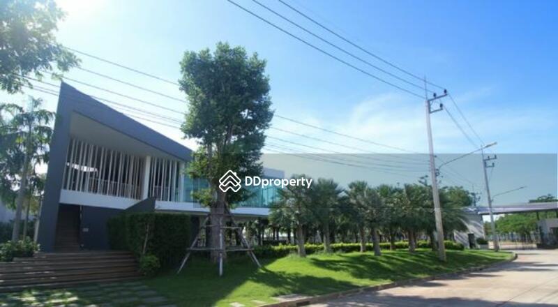 ให้เช่า - Citysense Salaya : ซิตี้เซนส์ ศาลายา, นครปฐม