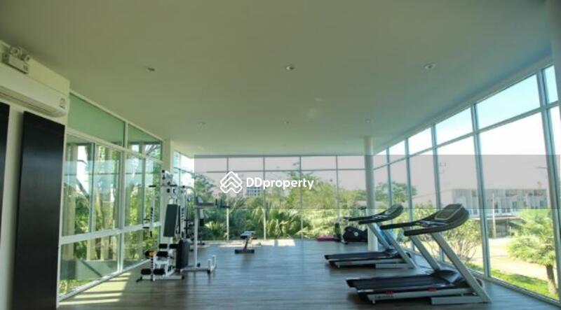 ให้เช่า - Citysense Salaya : ซิตี้เซนส์ ศาลายา, นครปฐม